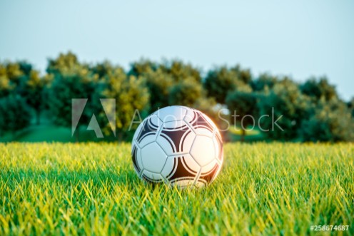 Picture of Soccer ball on field grass Outdoor games 3d